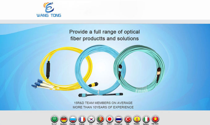 OEM FTTA Patch Cord / Optical Fiber To The Antenna Patch Cord DLC/PC DLC/PC Cable Assembly