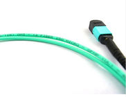 MPO - MPO Fiber Optic Patch Cord , Multimode Fiber Patch Cord 8/12/24 Cores