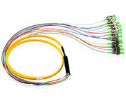 Fan Out Fiber Optic Patch Cord Ribbon Pigtail Singlemode Bundle Durability